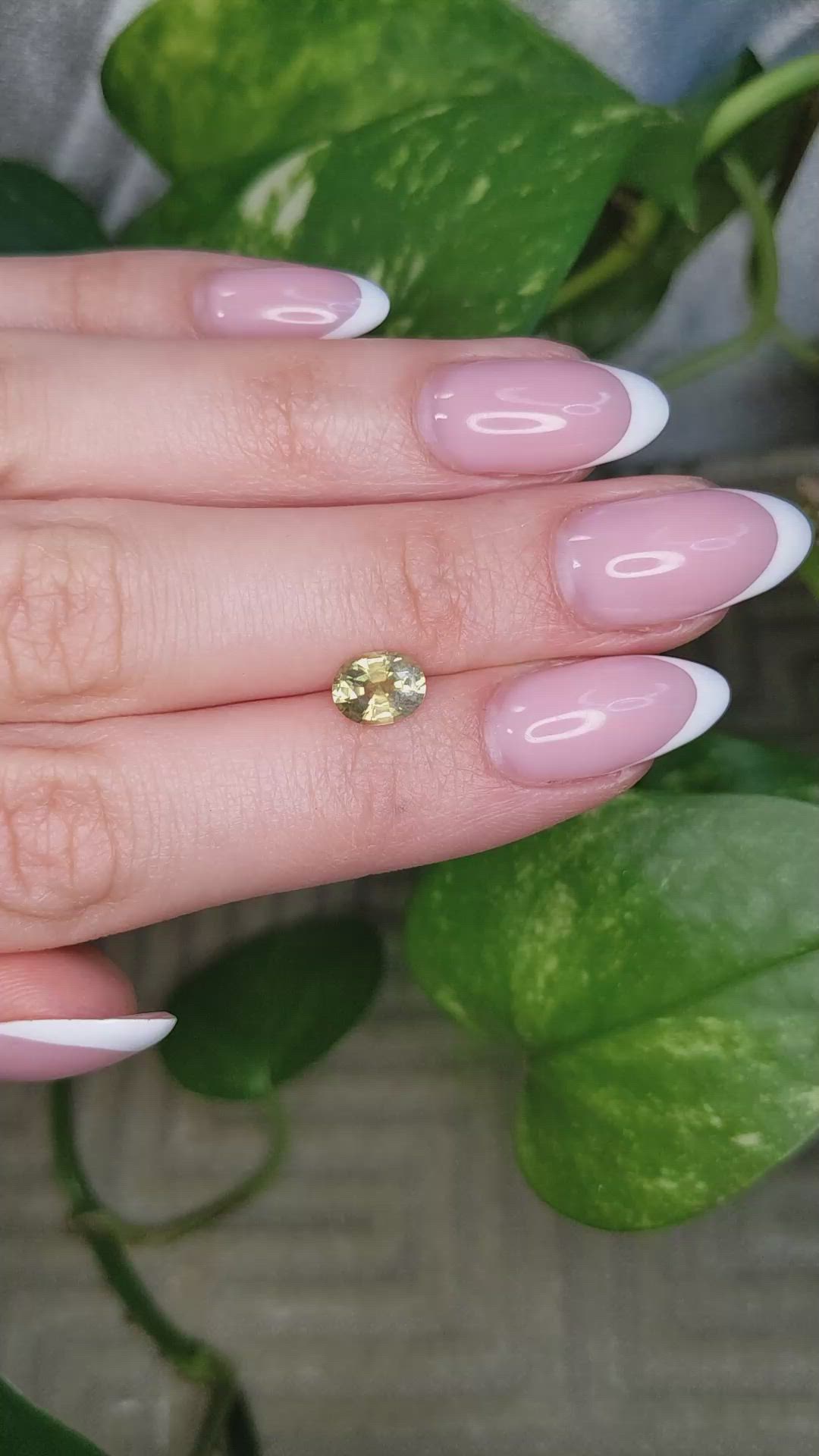 1.53 Ct. Greenish Yellow Sapphire from Montana Size Video
