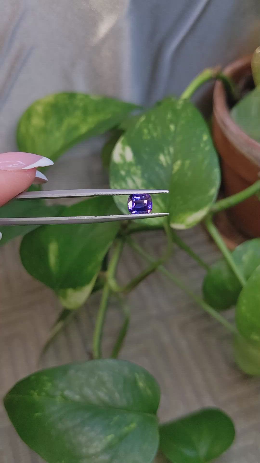 1.04 Ct. Bi Color / Parti Sapphire from Madagascar Size Video