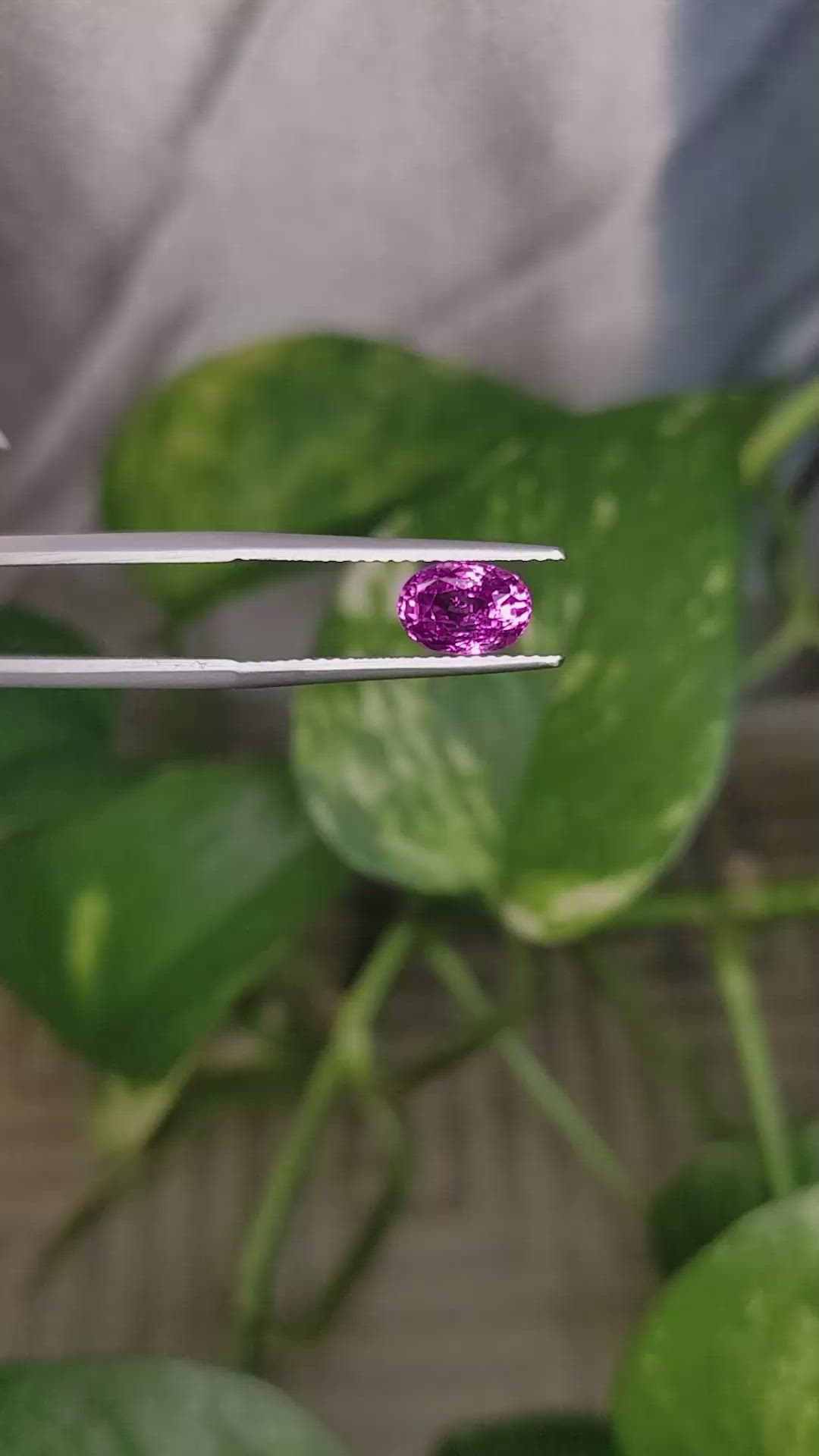 1.53 Ct. Purplish Pink Sapphire from Madagascar Size Video