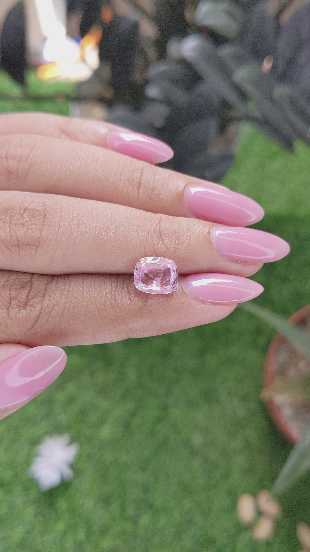 2.53 Ct. Pink Sapphire from Ceylon (Sri Lanka) Size Video