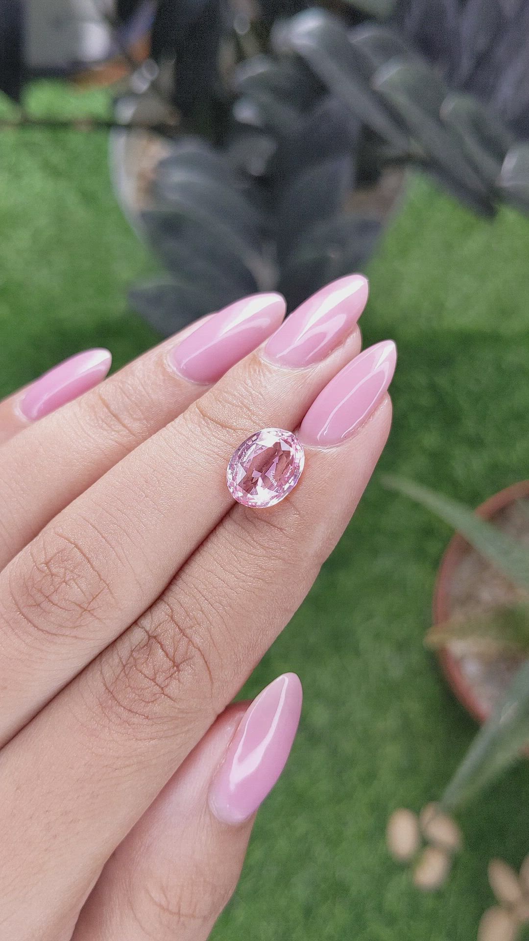 3.68 Ct. Pink Sapphire from Ceylon (Sri Lanka) Size Video