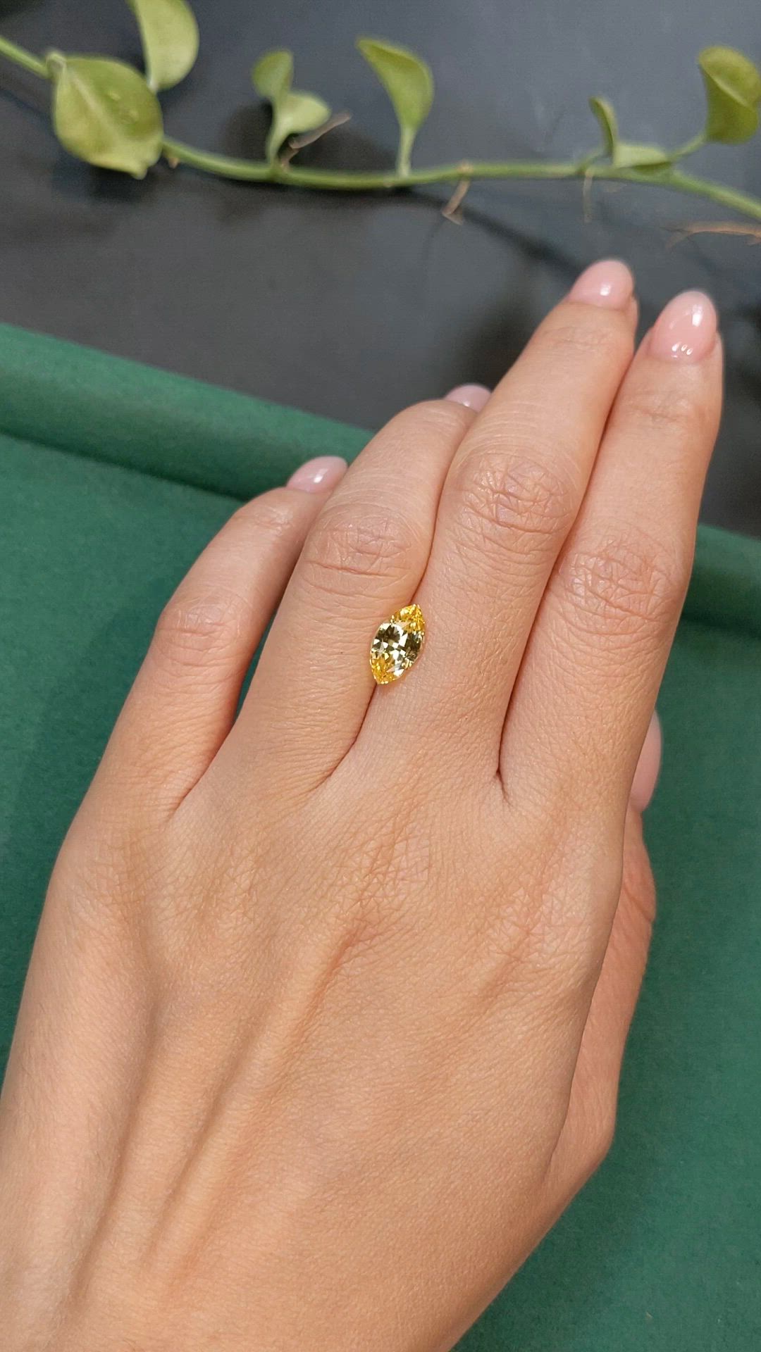2.05 Ct. Yellow Sapphire from Madagascar Size Video