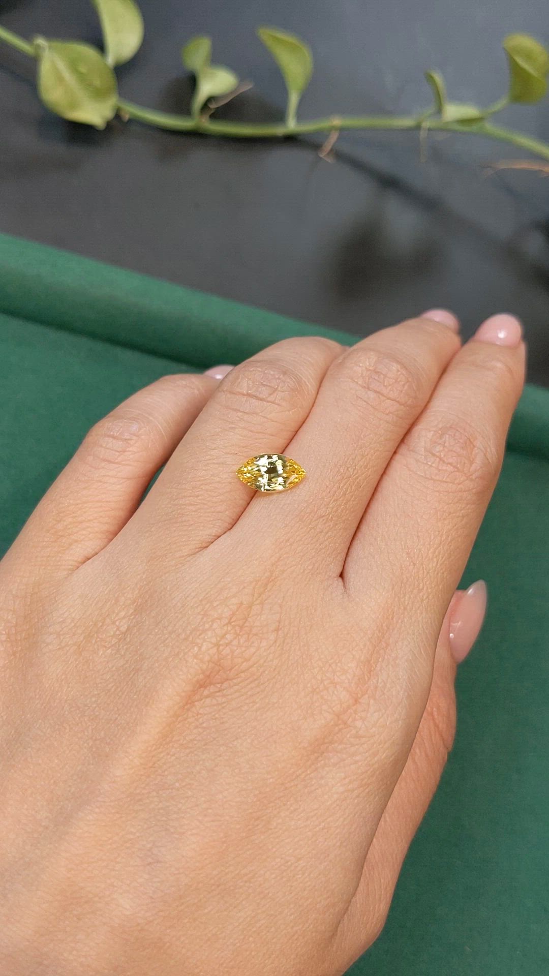2.05 Ct. Yellow Sapphire from Madagascar Size Video