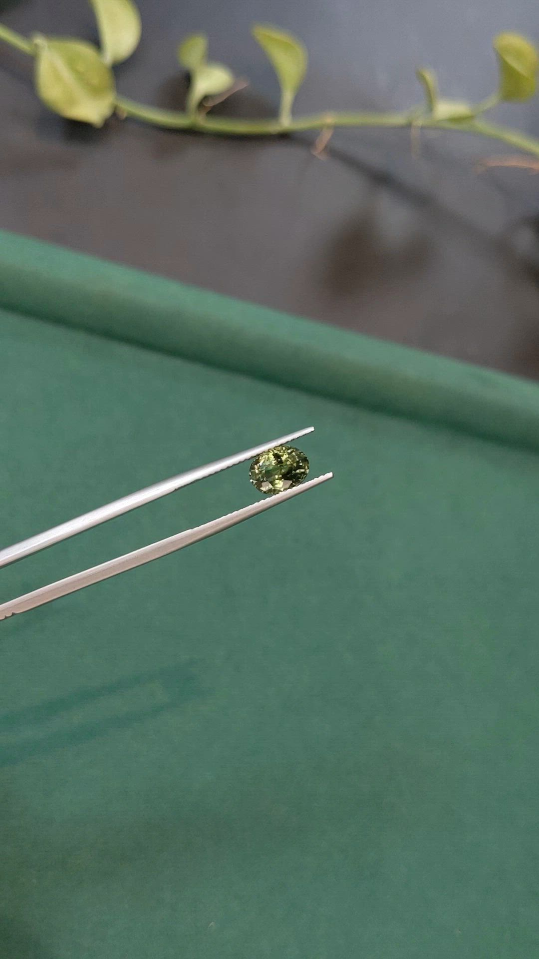 2.00 Ct. Yellowish Green Sapphire from Madagascar Size Video