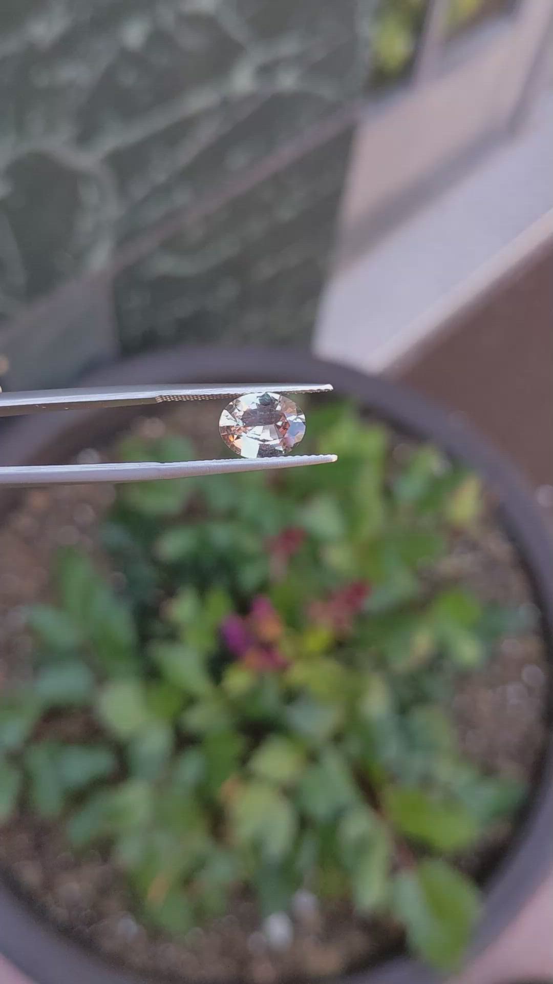 2.21 Ct. Brown Sapphire from Madagascar Size Video