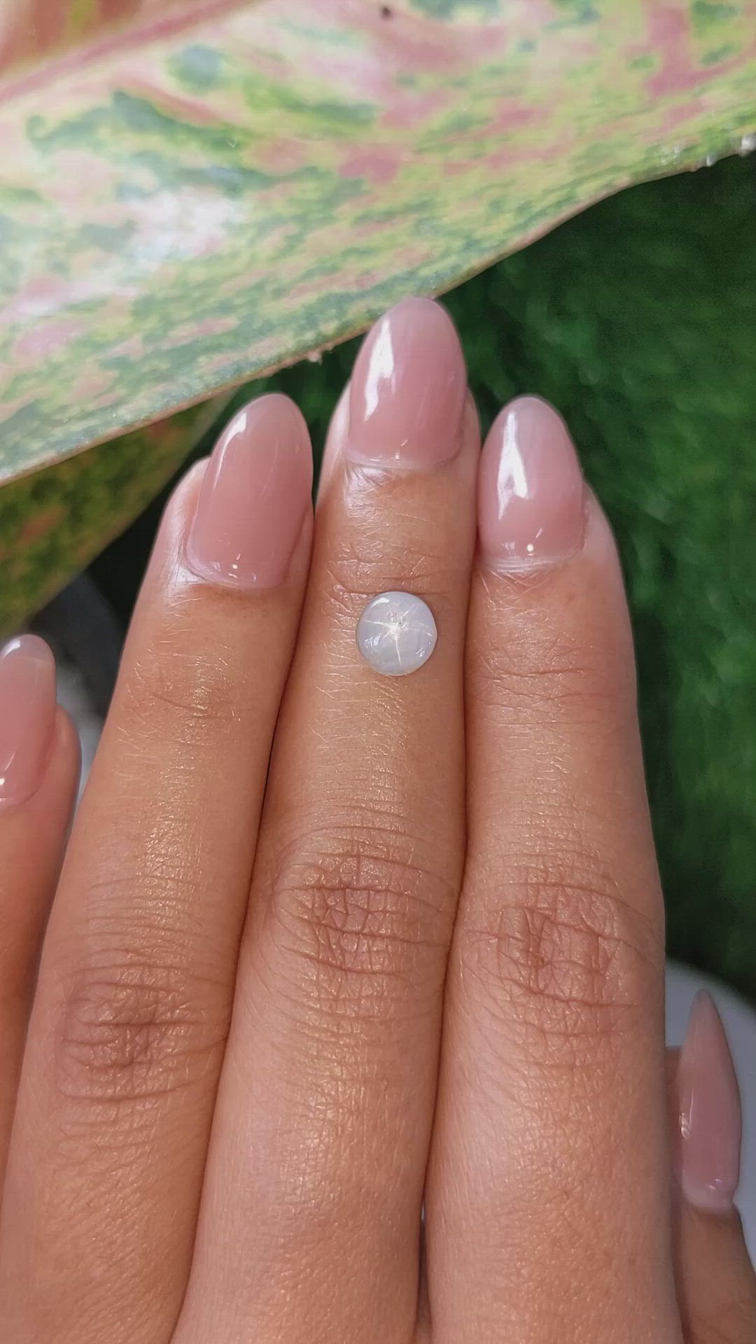 1.72 Ct. Bluish Grey Star Sapphire from Ceylon (Sri Lanka) Size Video