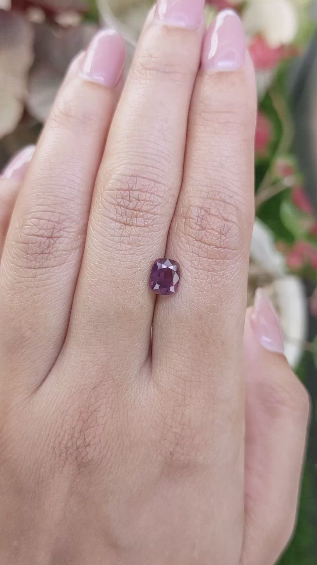 1.68 Ct. Purplish Pink Sapphire from Ceylon (Sri Lanka) Size Video