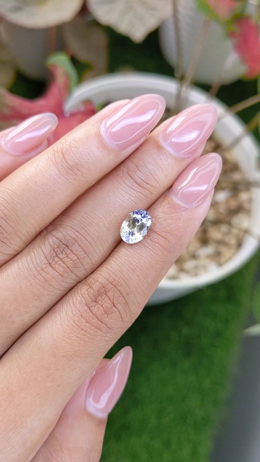 2.50 Ct. Bi Color / Parti Sapphire from Ceylon (Sri Lanka) Size Video