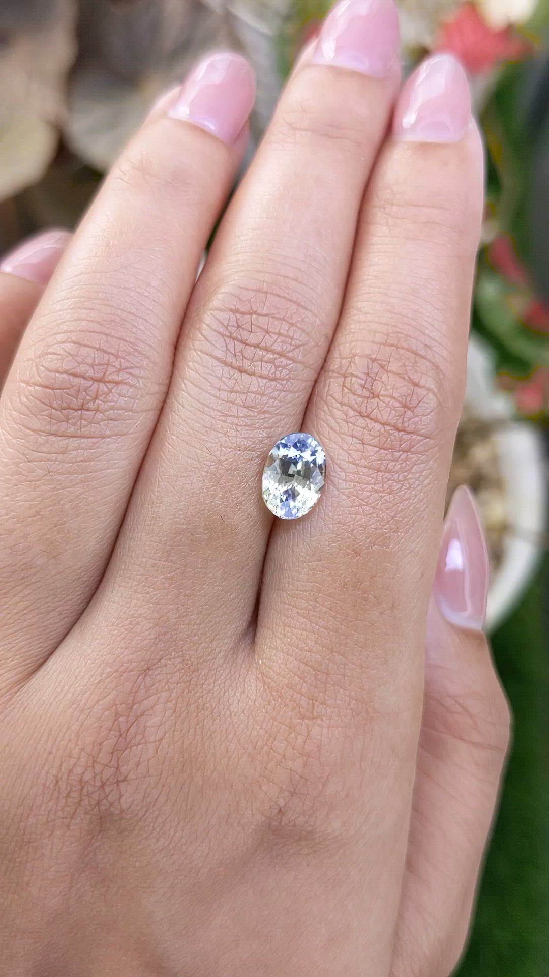 2.50 Ct. Bi Color / Parti Sapphire from Ceylon (Sri Lanka) Size Video