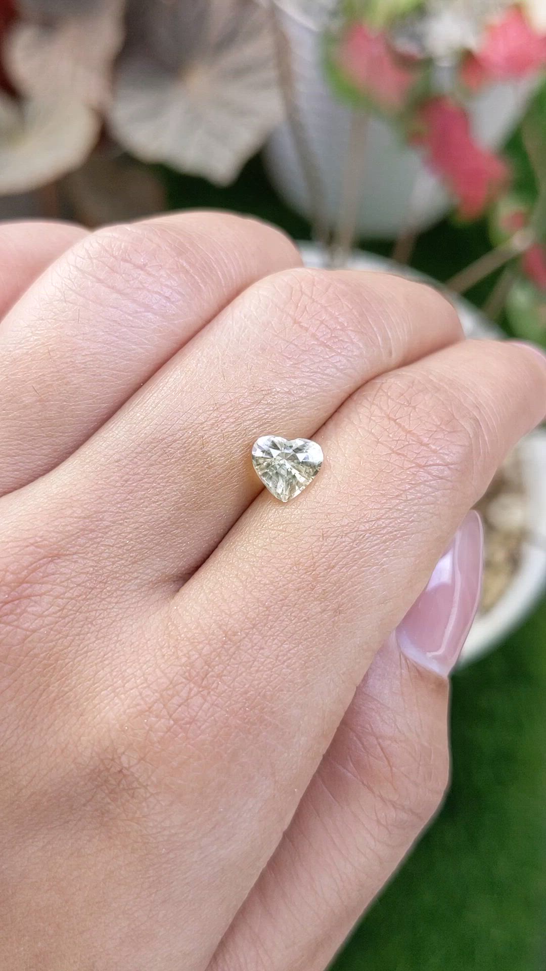 1.50 Ct. Yellow Sapphire from Ceylon (Sri Lanka) Size Video