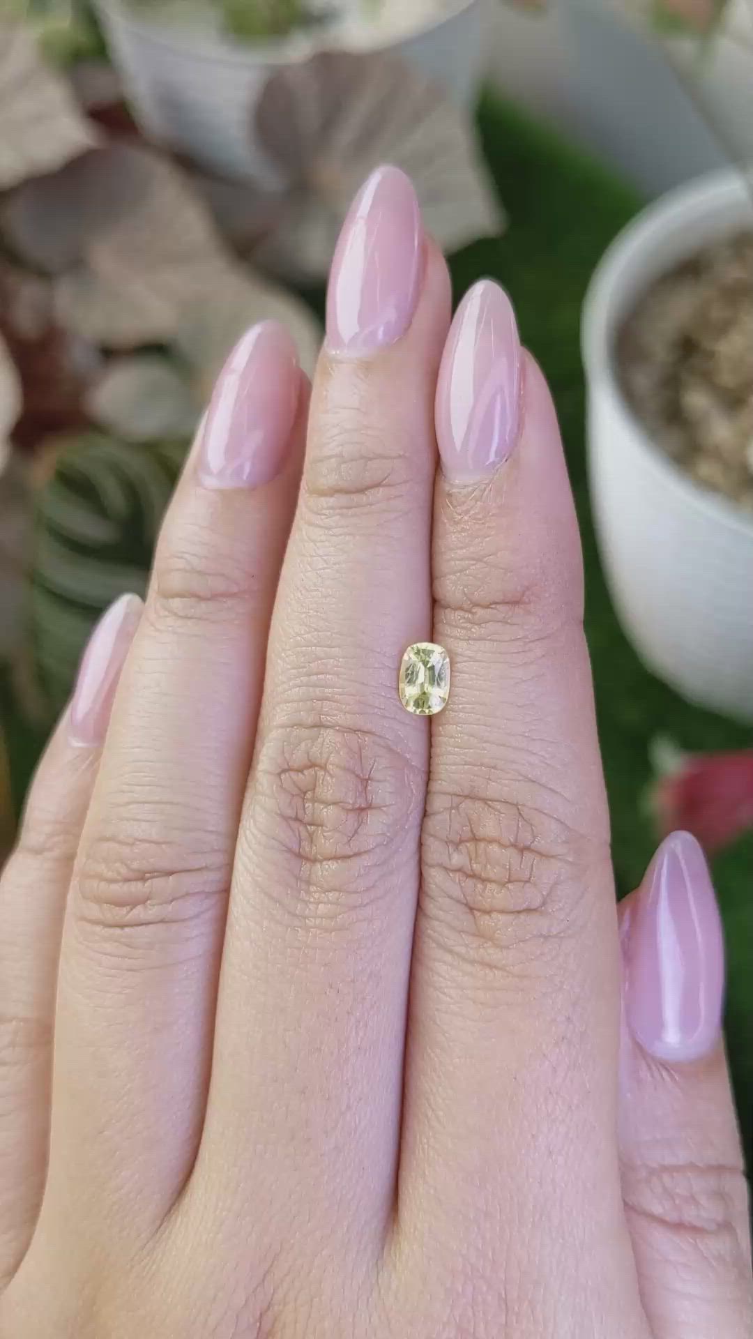 0.61 Ct. Yellow Sapphire from Ceylon (Sri Lanka) Size Video