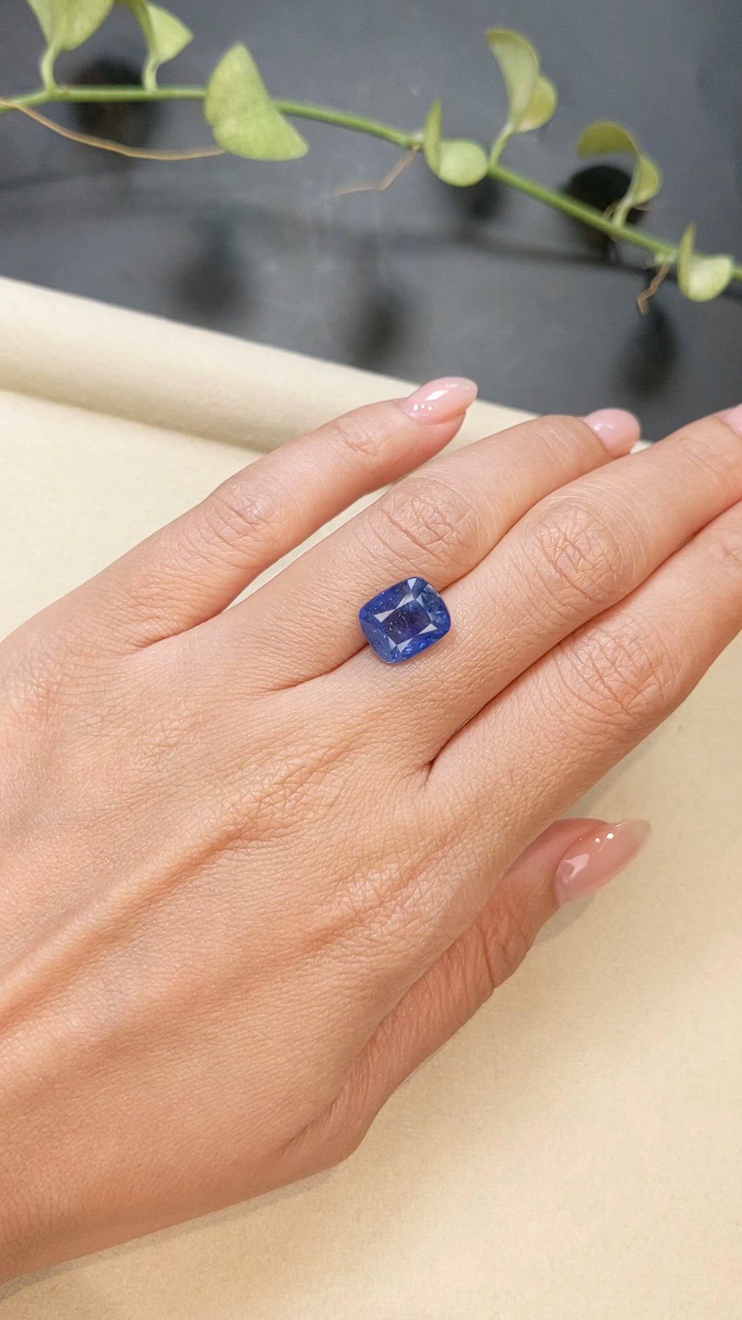 5.68 Ct. Blue Sapphire from Ceylon (Sri Lanka) Size Video