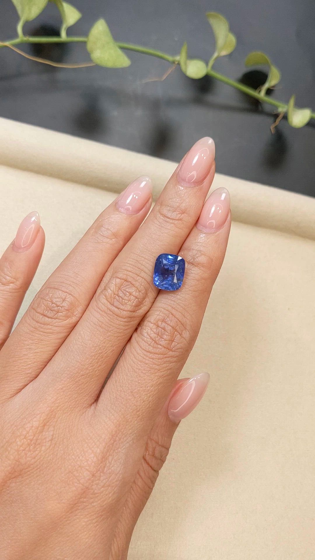 5.68 Ct. Blue Sapphire from Ceylon (Sri Lanka) Size Video