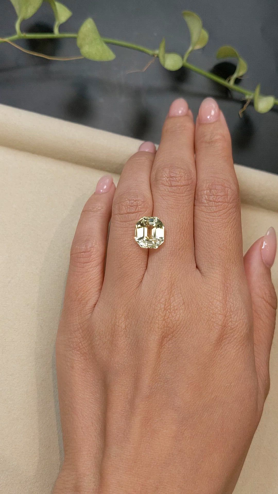 8.25 Ct. Yellow Sapphire from Ceylon (Sri Lanka) Size Video