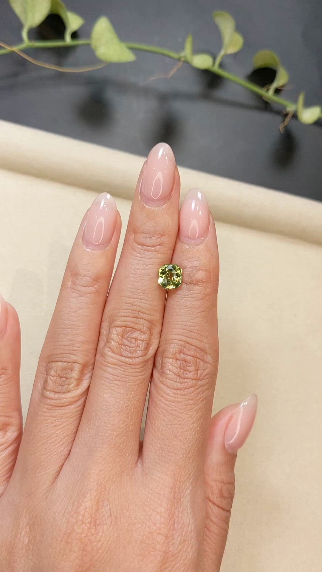 1.99 Ct. Yellowish Green Sapphire from Madagascar Size Video