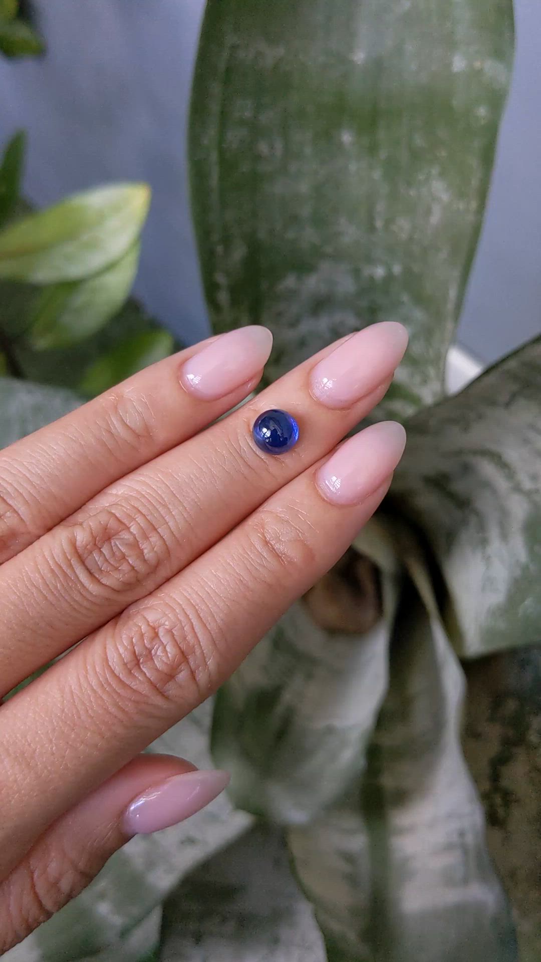 2.38 Ct. Blue Cabochon Sapphire from Ceylon (Sri Lanka) Size Video