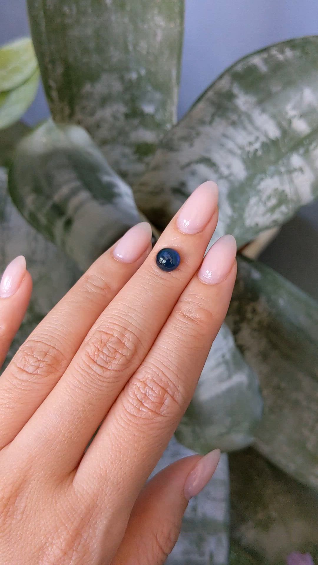2.12 Ct. Blue Cabochon Sapphire from Ceylon (Sri Lanka) Size Video