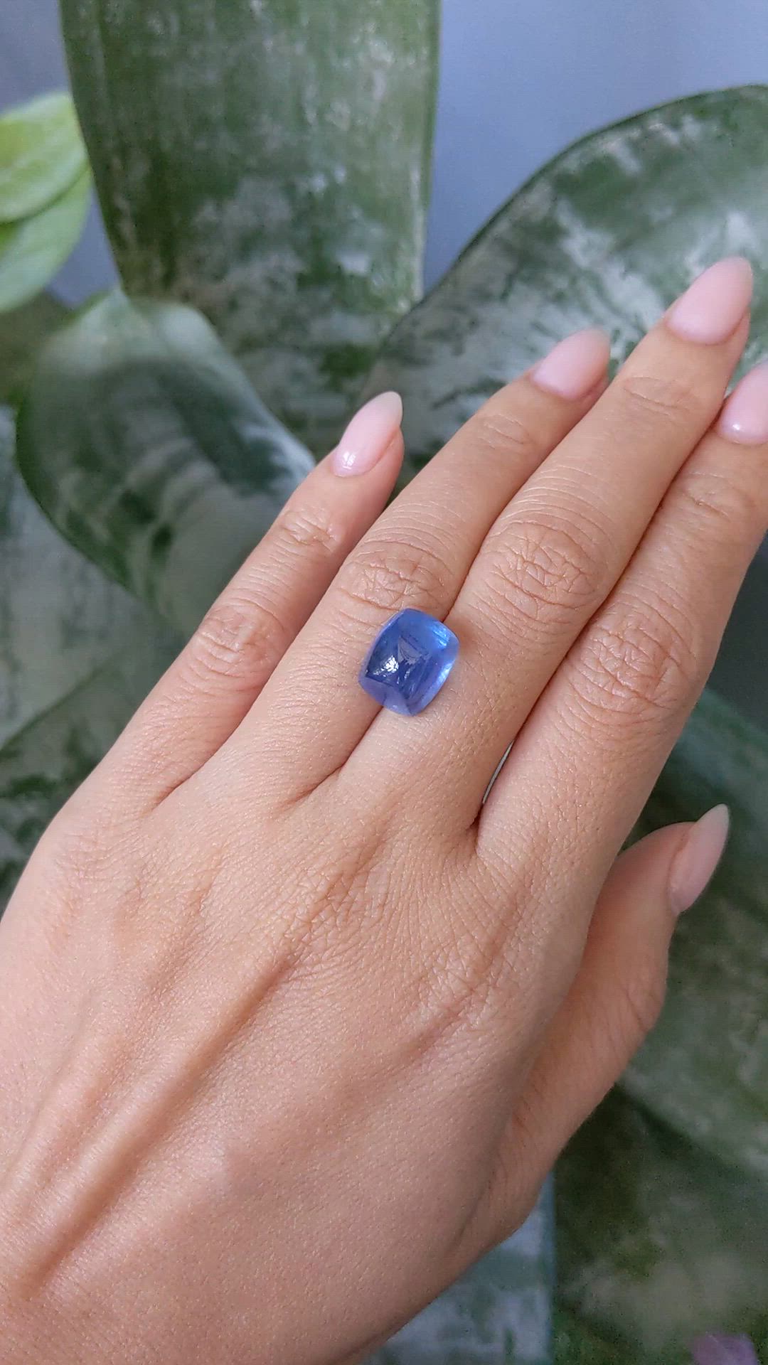 13.10 Ct. Blue Cabochon Sapphire from Ceylon (Sri Lanka) Size Video