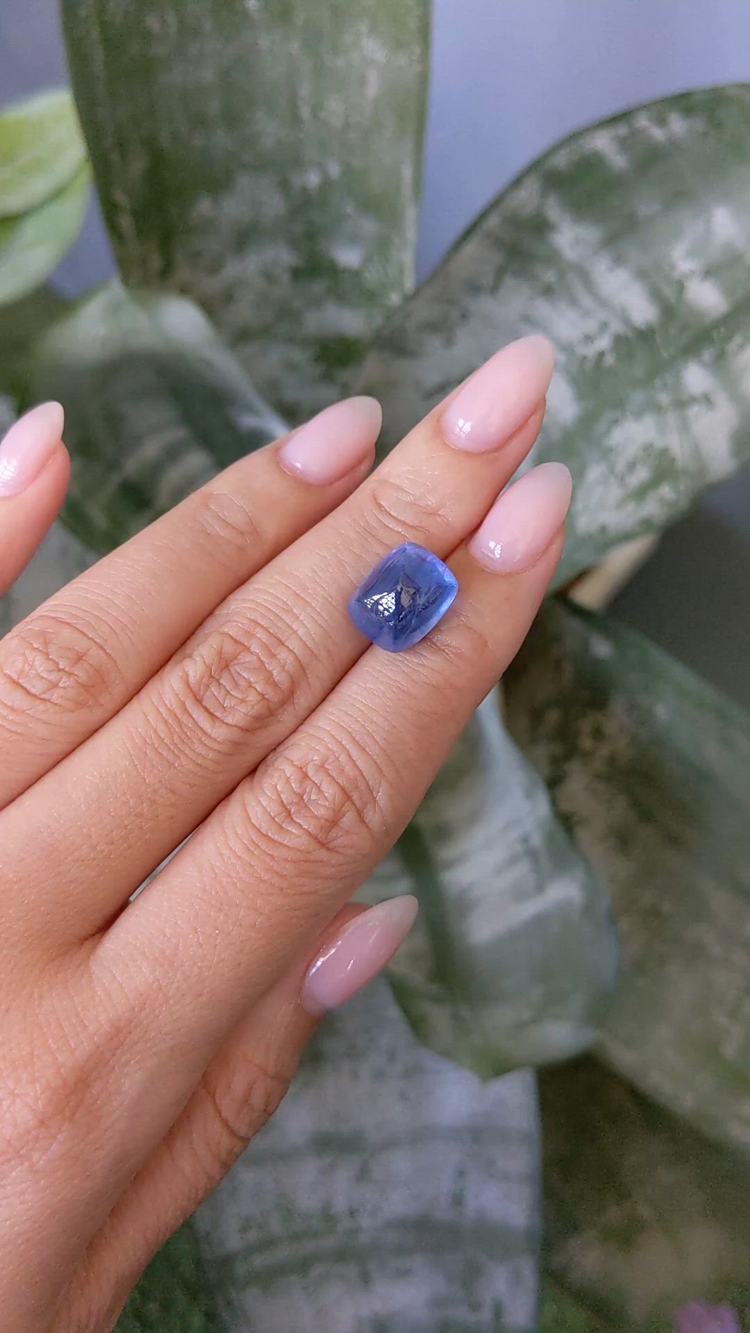 13.10 Ct. Blue Cabochon Sapphire from Ceylon (Sri Lanka) Size Video