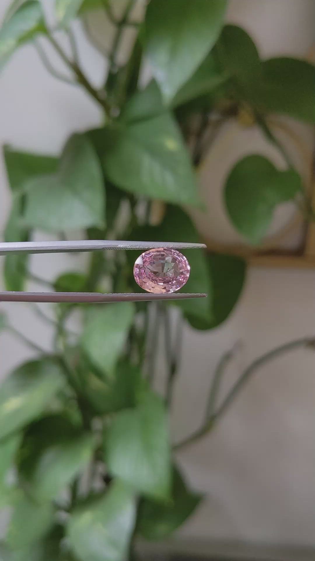3.13 Ct. Pink Sapphire from Ceylon (Sri Lanka) Size Video
