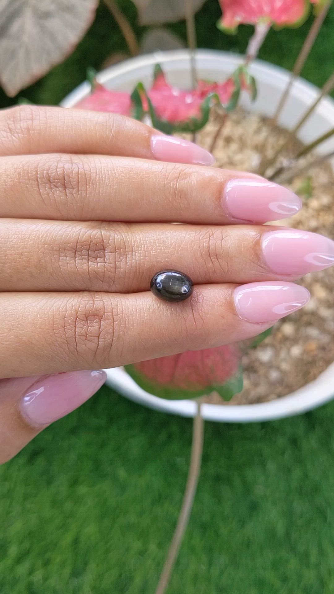 4.95 Ct. Black Star Sapphire from Ceylon (Sri Lanka) Size Video