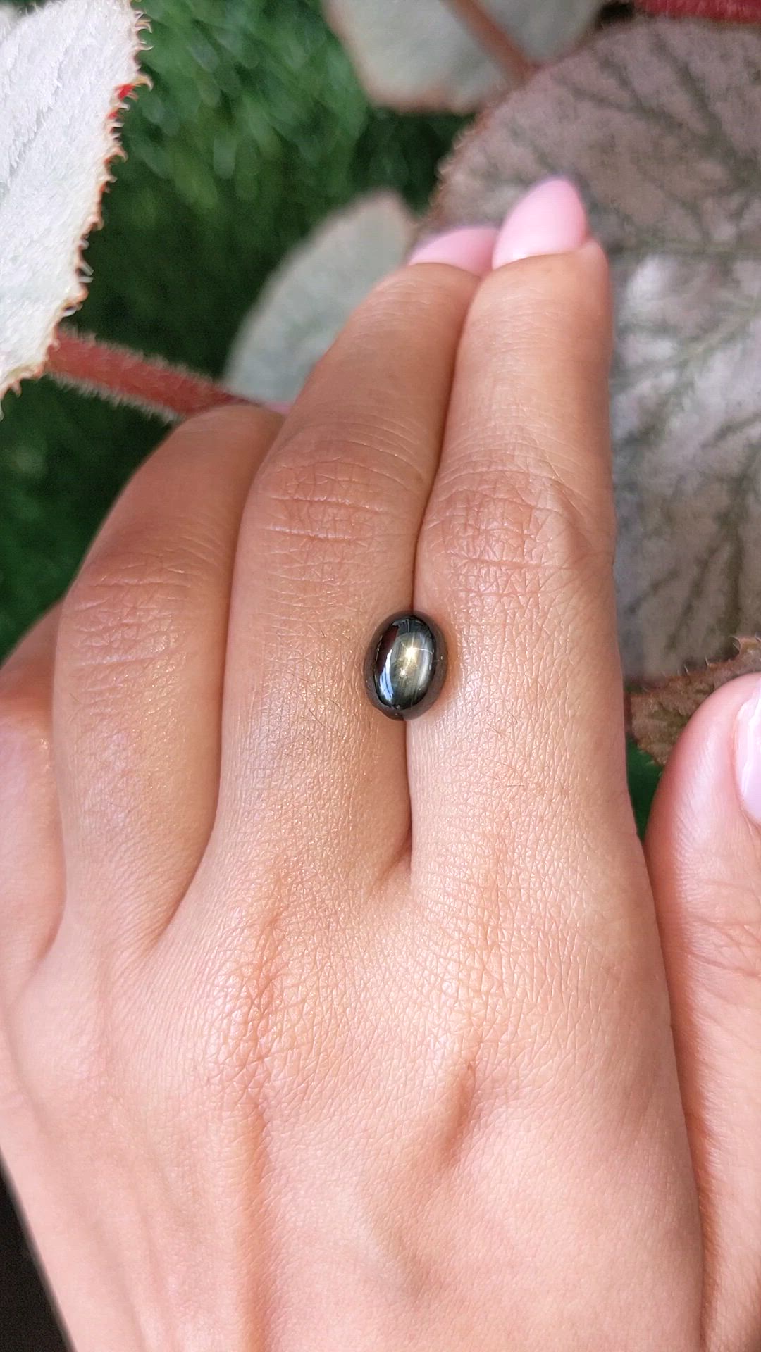 4.95 Ct. Black Star Sapphire from Ceylon (Sri Lanka) Size Video
