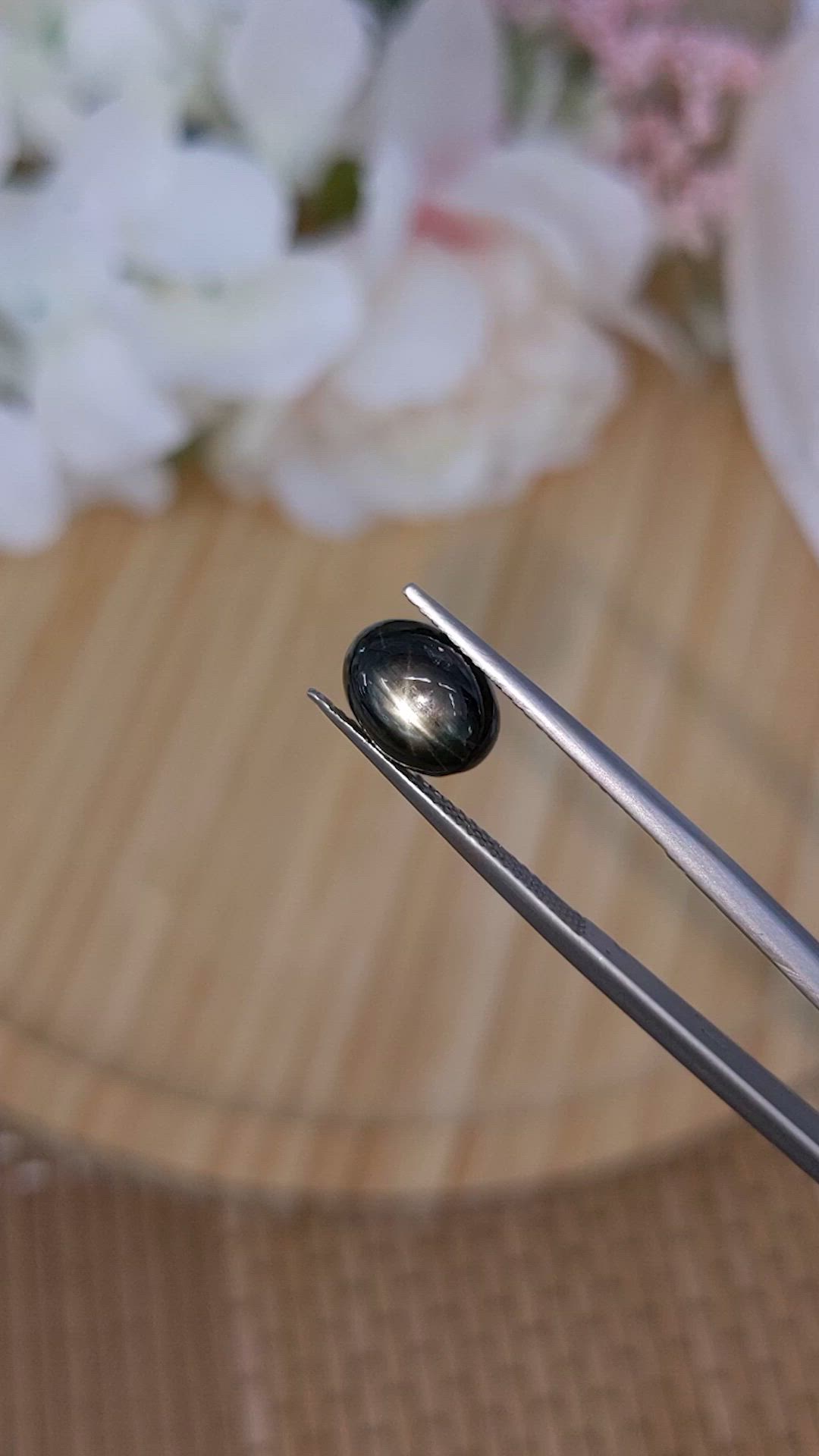 4.95 Ct. Black Star Sapphire from Ceylon (Sri Lanka) Size Video