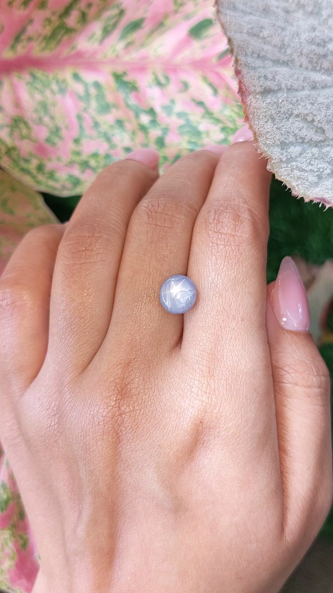4.89 Ct. Greyish Blue Star Sapphire from Ceylon (Sri Lanka) Size Video