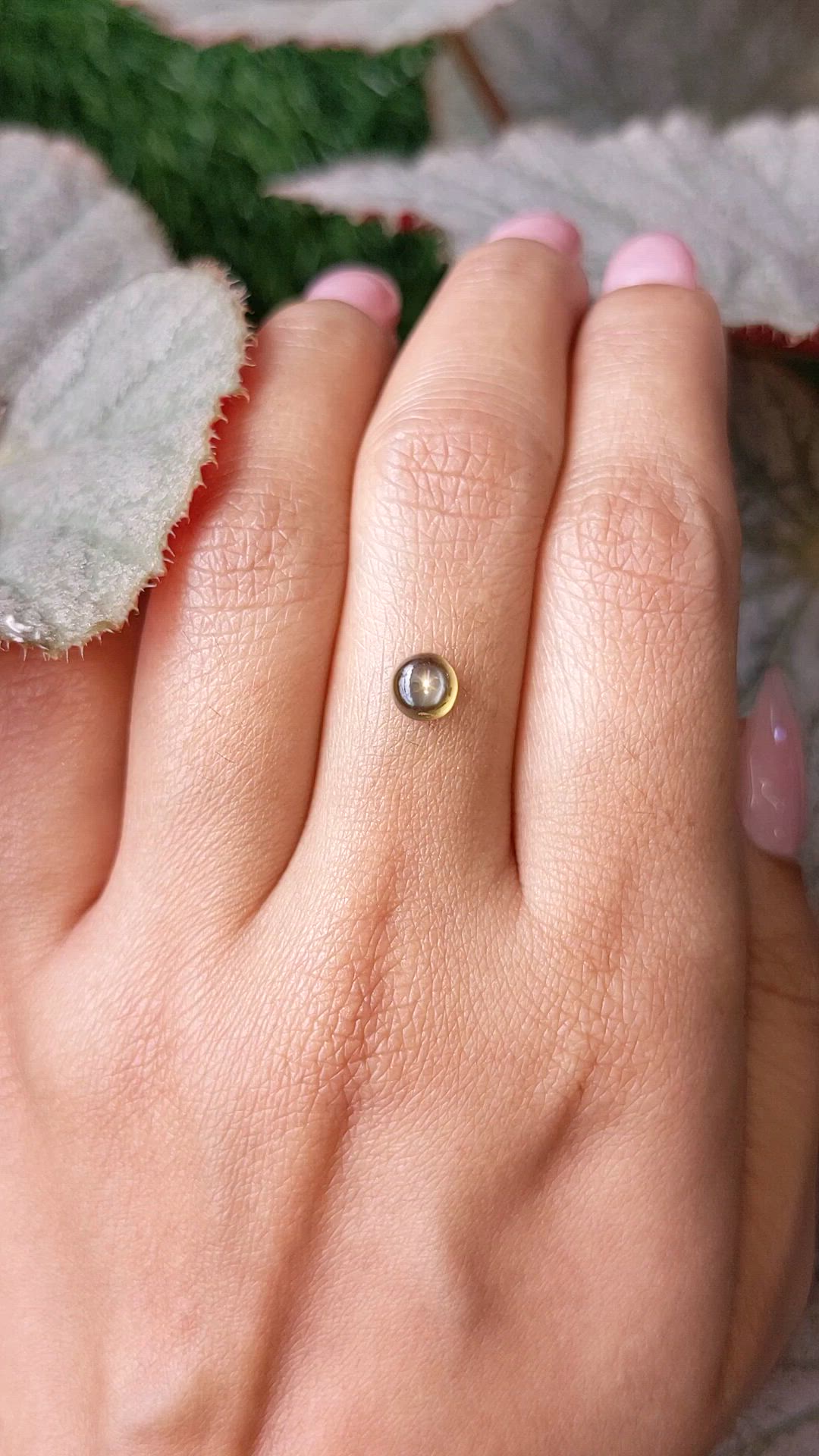 1.12 Ct. Greenish Brown Star Sapphire from Ceylon (Sri Lanka) Size Video
