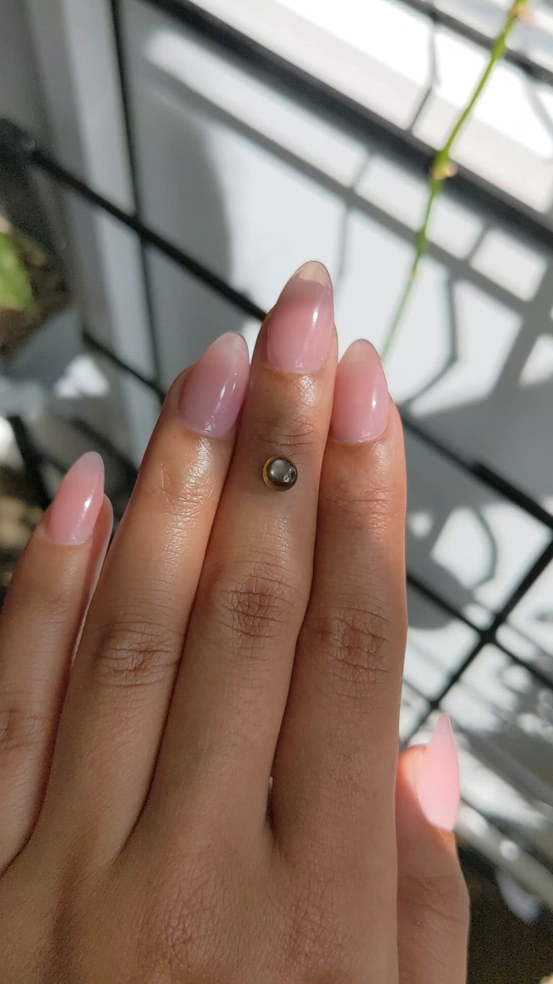 1.12 Ct. Greenish Brown Star Sapphire from Ceylon (Sri Lanka) Size Video