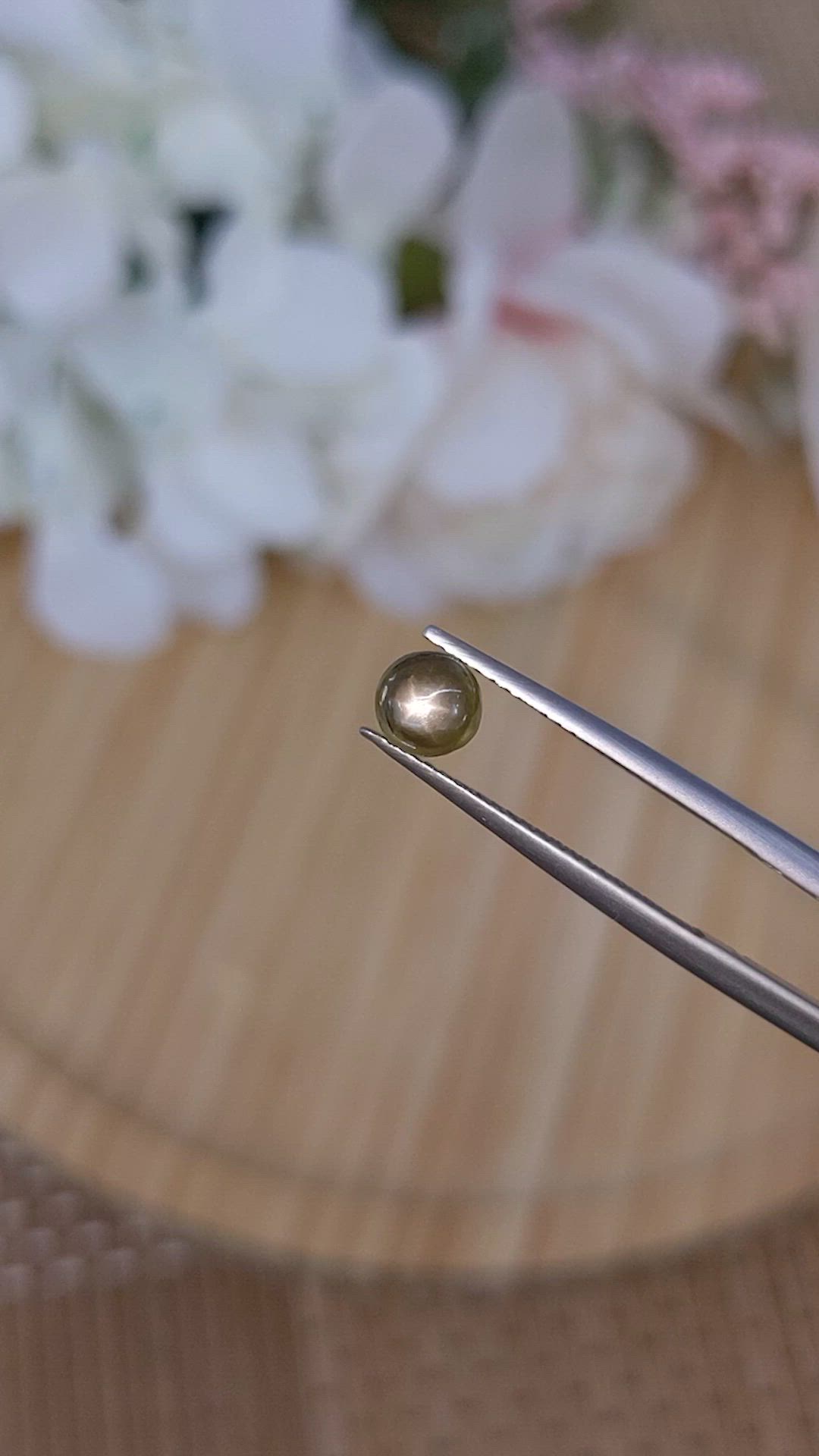 1.12 Ct. Greenish Brown Star Sapphire from Ceylon (Sri Lanka) Size Video