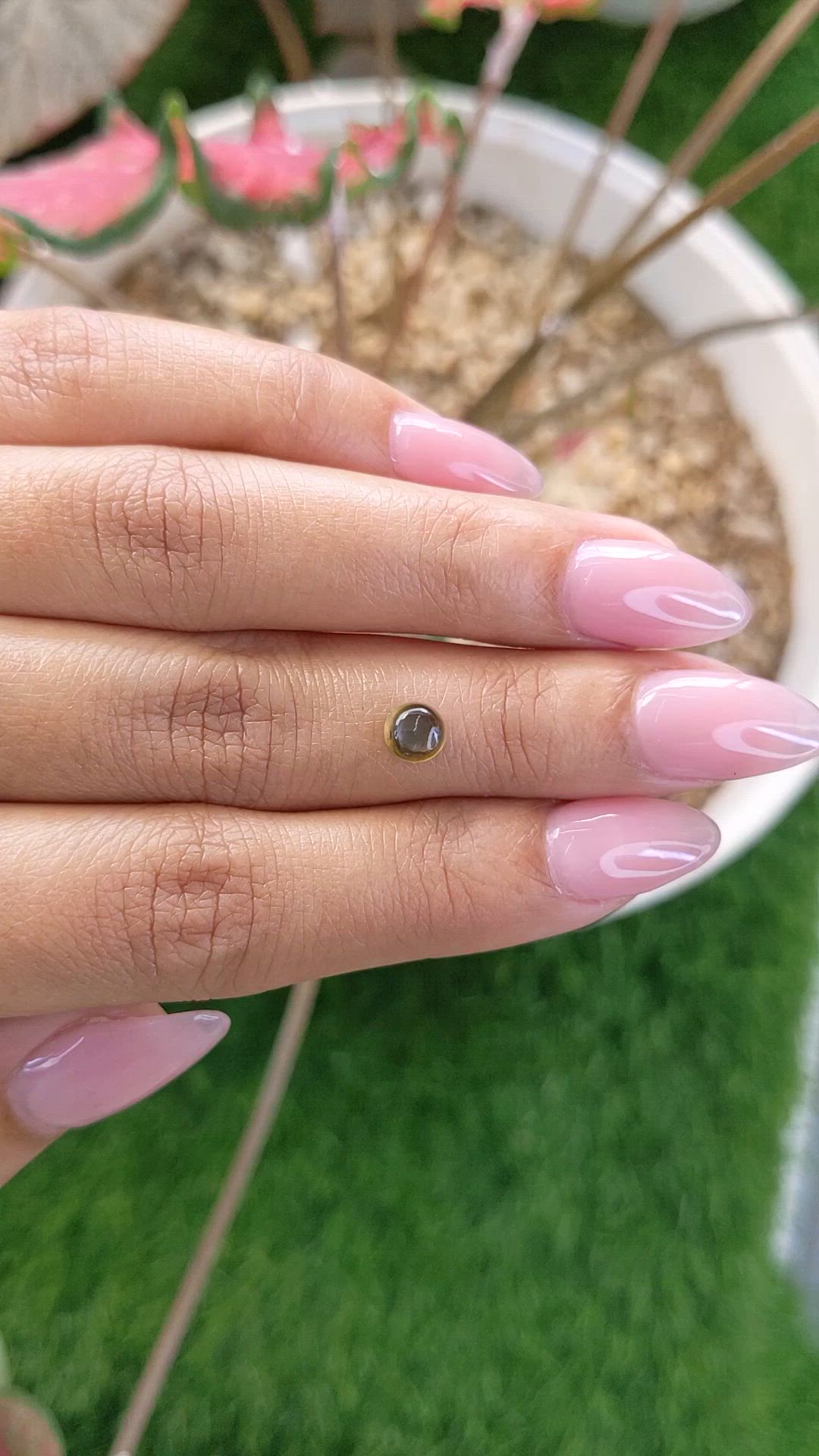 1.12 Ct. Greenish Brown Star Sapphire from Ceylon (Sri Lanka) Size Video