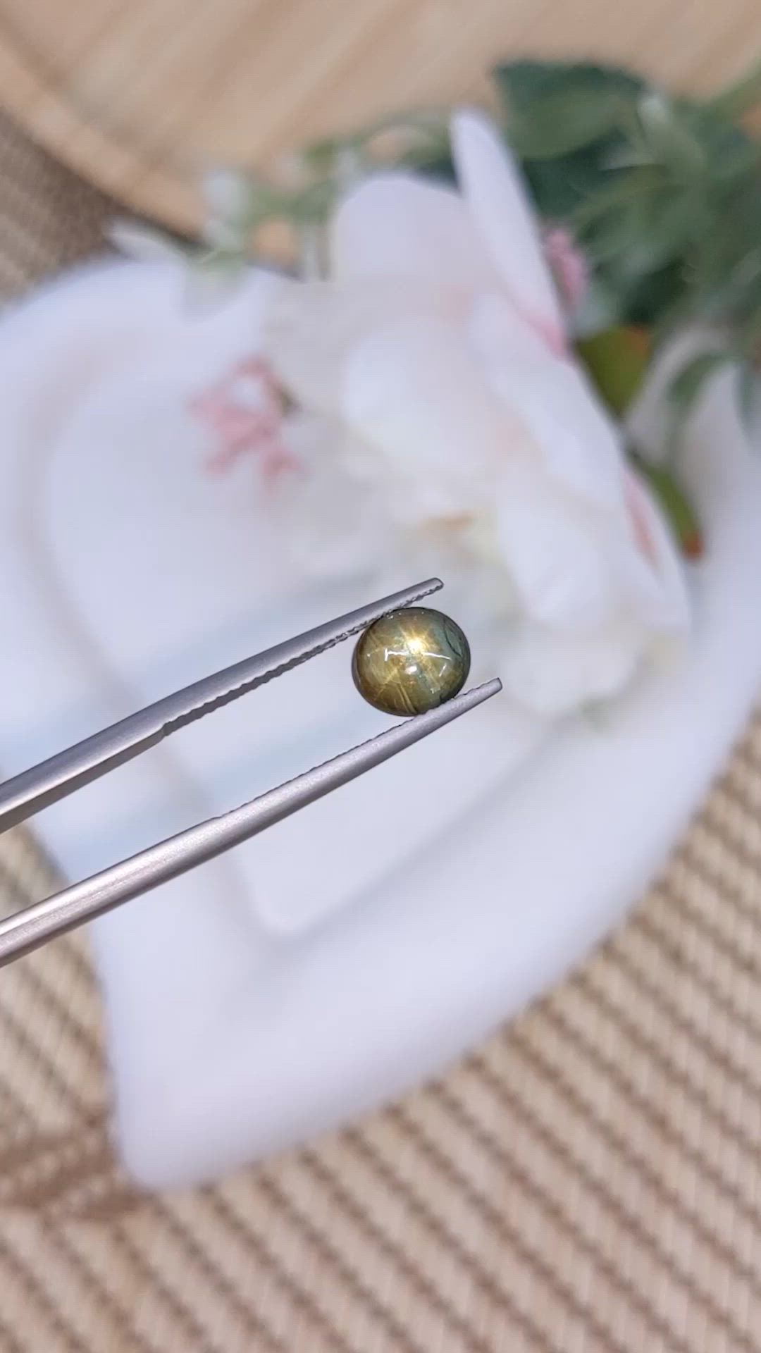 2.11 Ct. Greenish Brown Star Sapphire from Ceylon (Sri Lanka) Size Video