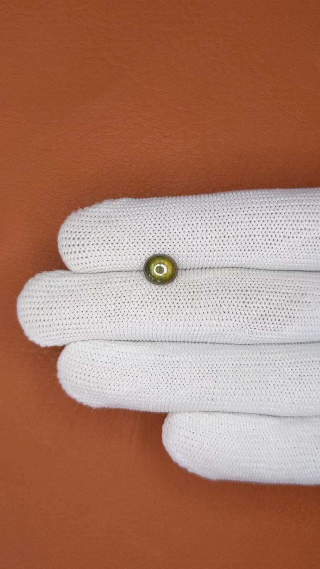 2.11 Ct. Greenish Brown Star Sapphire from Ceylon (Sri Lanka) Size Video