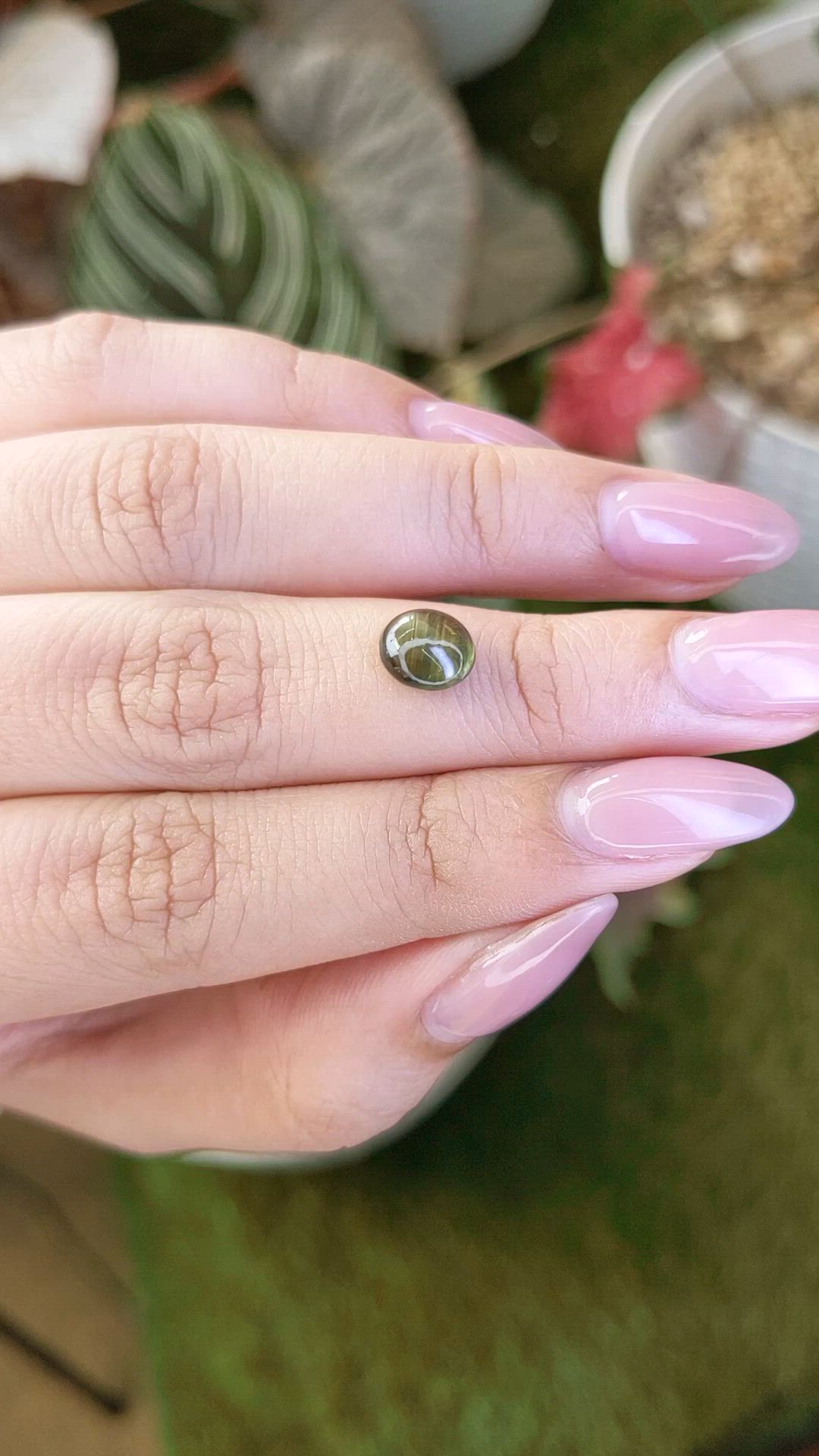 2.11 Ct. Greenish Brown Star Sapphire from Ceylon (Sri Lanka) Size Video