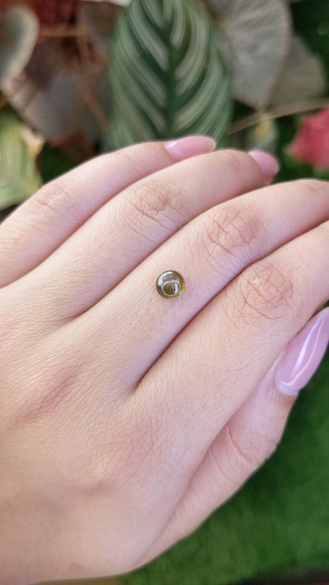 1.14 Ct. Greenish Brown Star Sapphire from Ceylon (Sri Lanka) Size Video