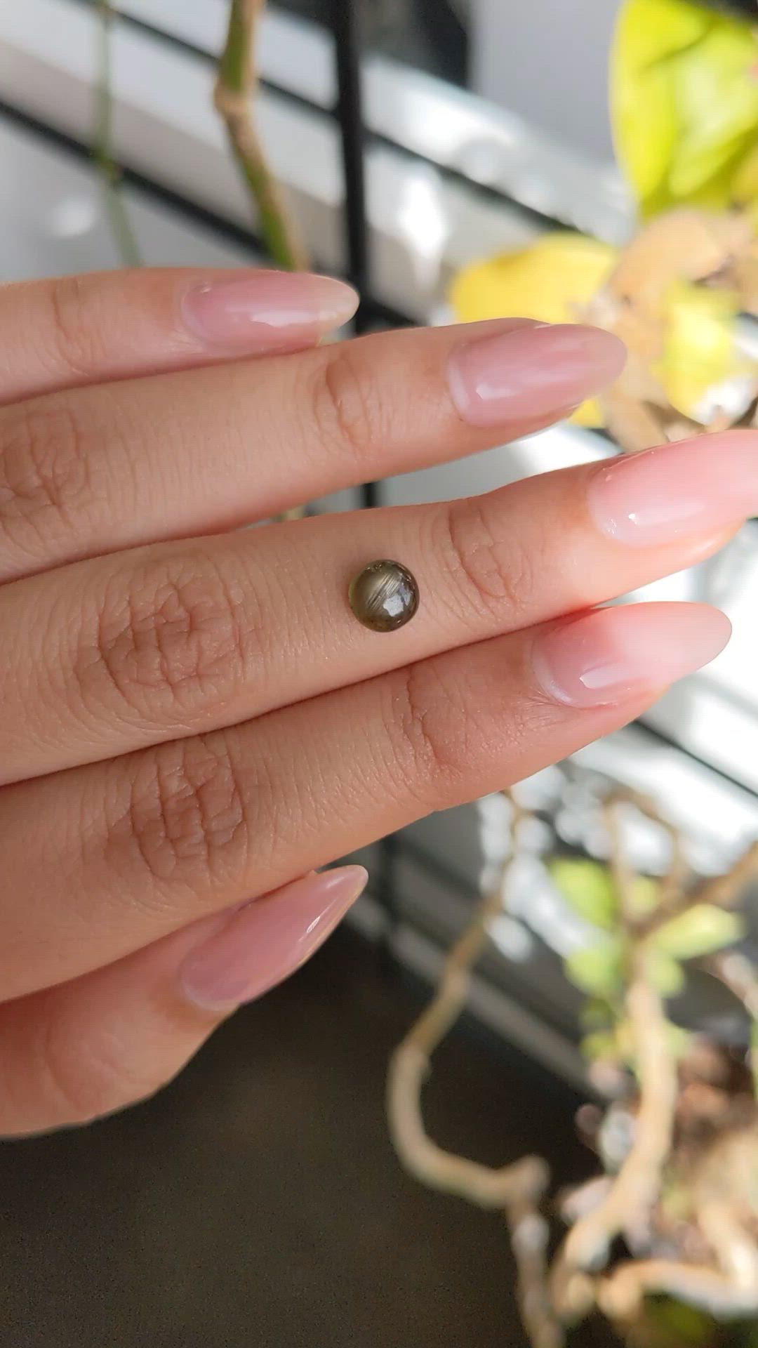 1.33 Ct. Brownish Green Star Sapphire from Ceylon (Sri Lanka) Size Video