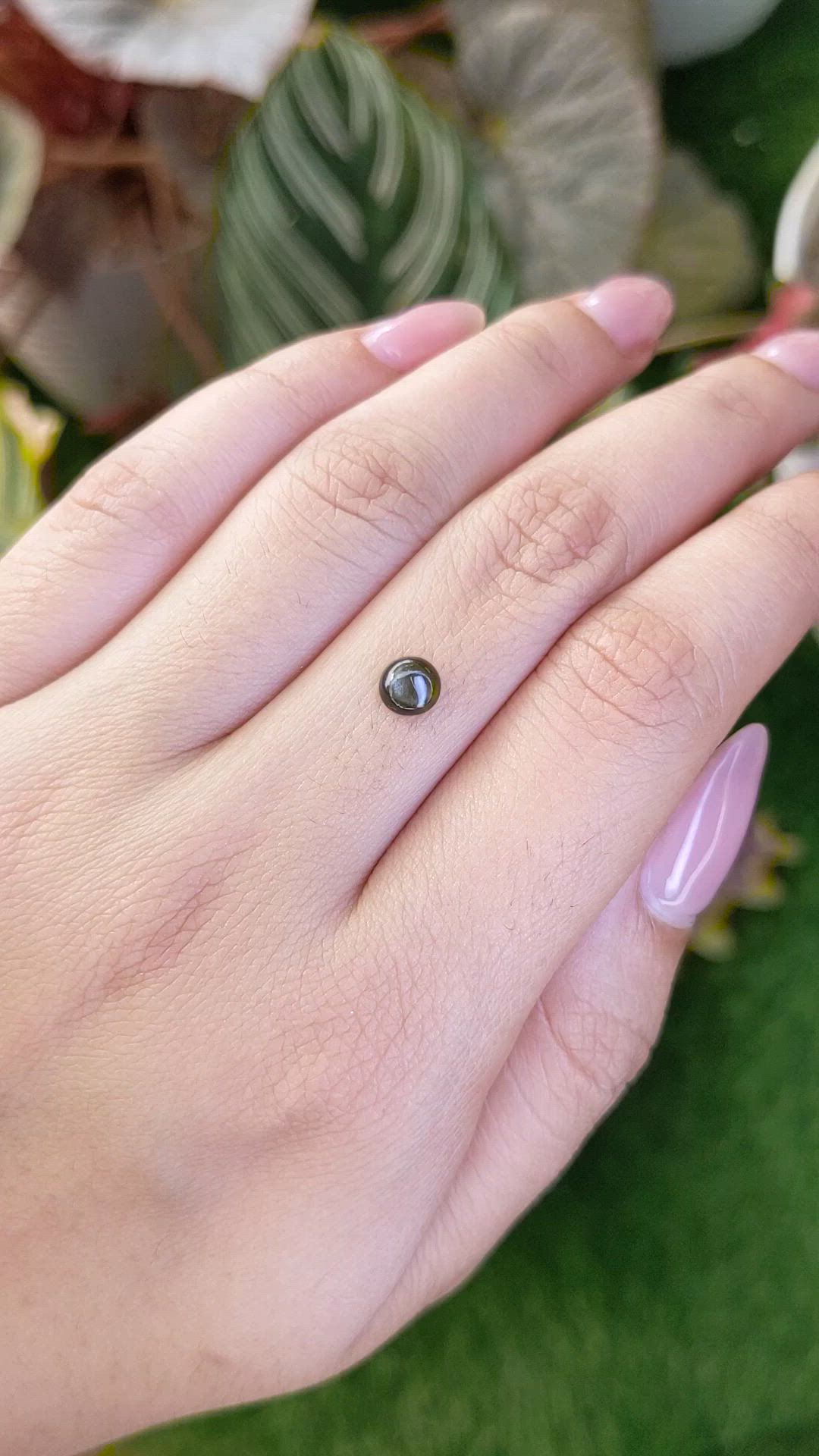 0.79 Ct. Greenish Brown Star Sapphire from Ceylon (Sri Lanka) Size Video