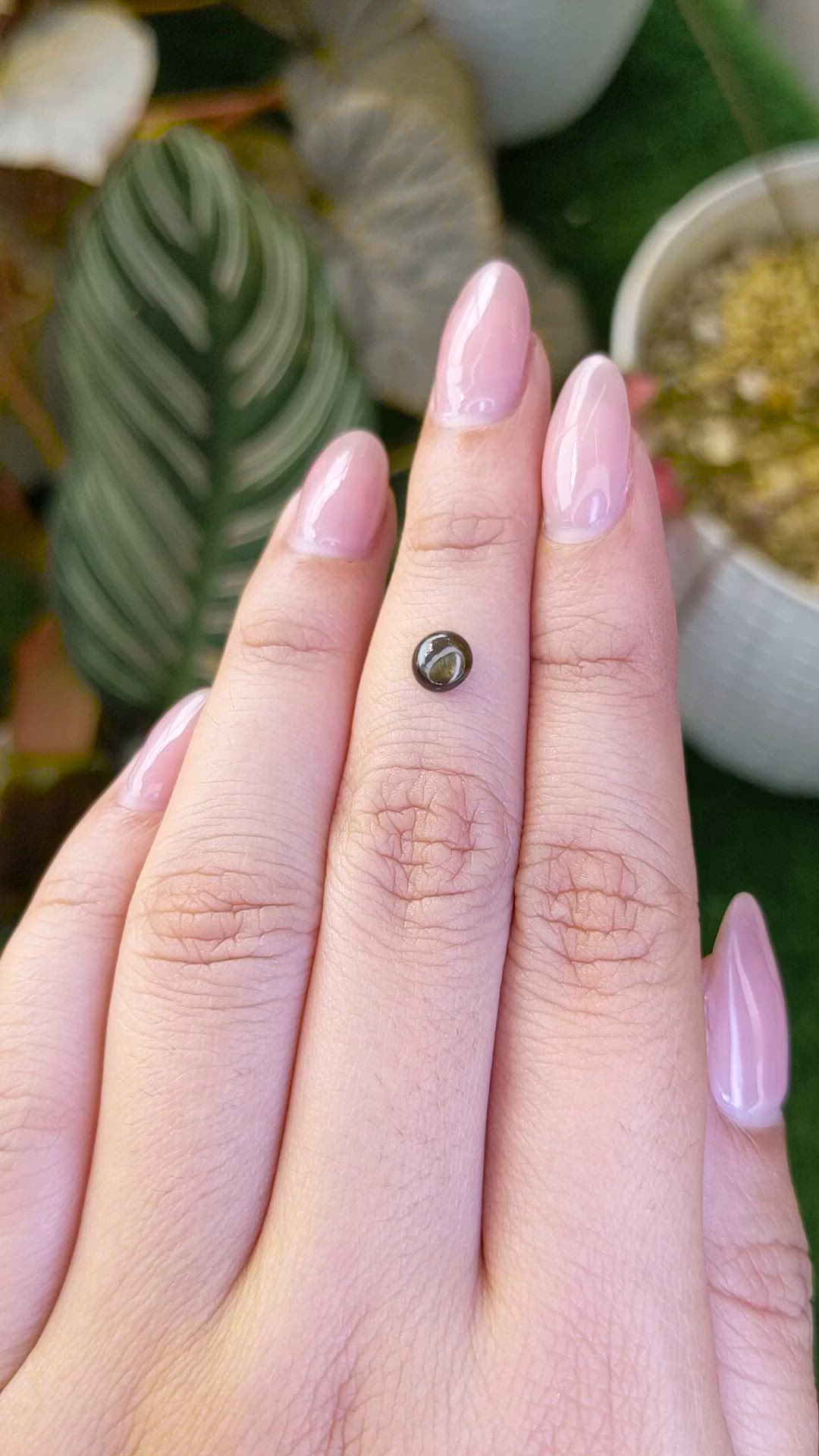 0.79 Ct. Greenish Brown Star Sapphire from Ceylon (Sri Lanka) Size Video