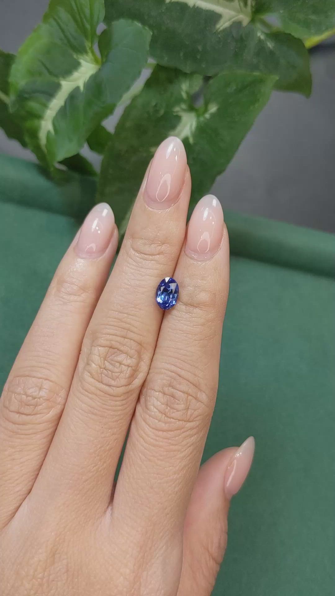 1.58 Ct. Blue Sapphire from Ceylon (Sri Lanka) Size Video