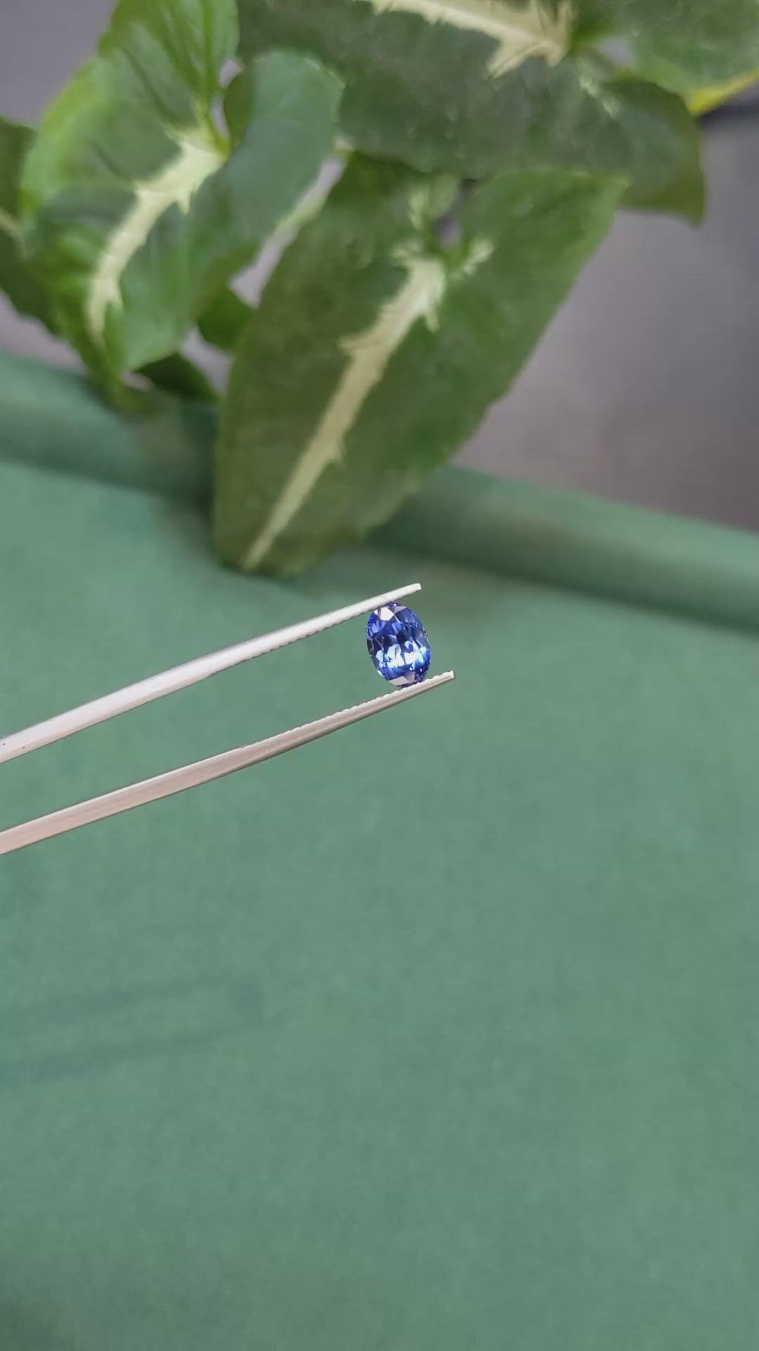 1.58 Ct. Blue Sapphire from Ceylon (Sri Lanka) Size Video