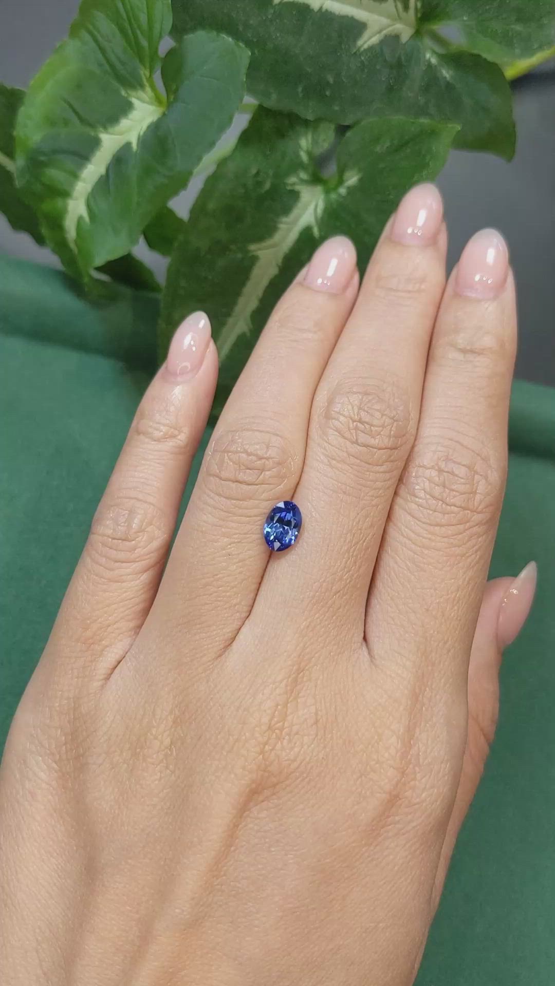 1.58 Ct. Blue Sapphire from Ceylon (Sri Lanka) Size Video