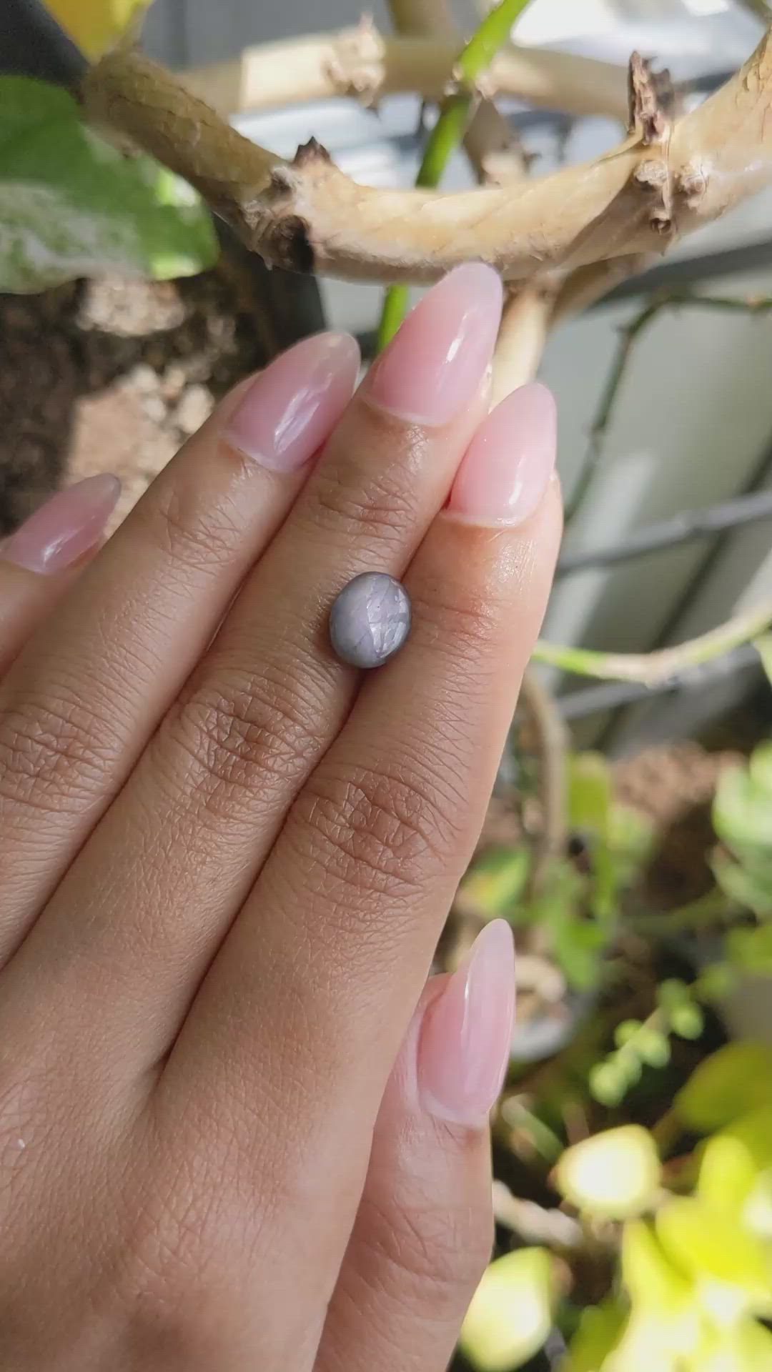 4.32 Ct. Purple Star Sapphire from Ceylon (Sri Lanka) Size Video