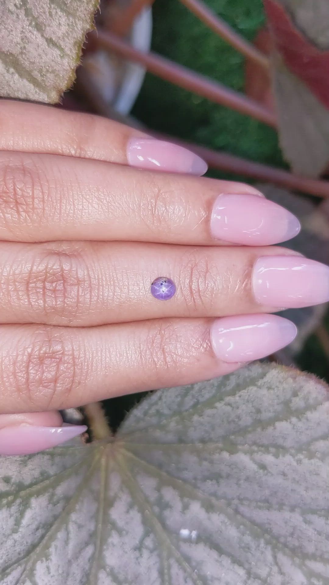 0.47 Ct. Pinkish Purple Star Sapphire from Ceylon (Sri Lanka) Size Video