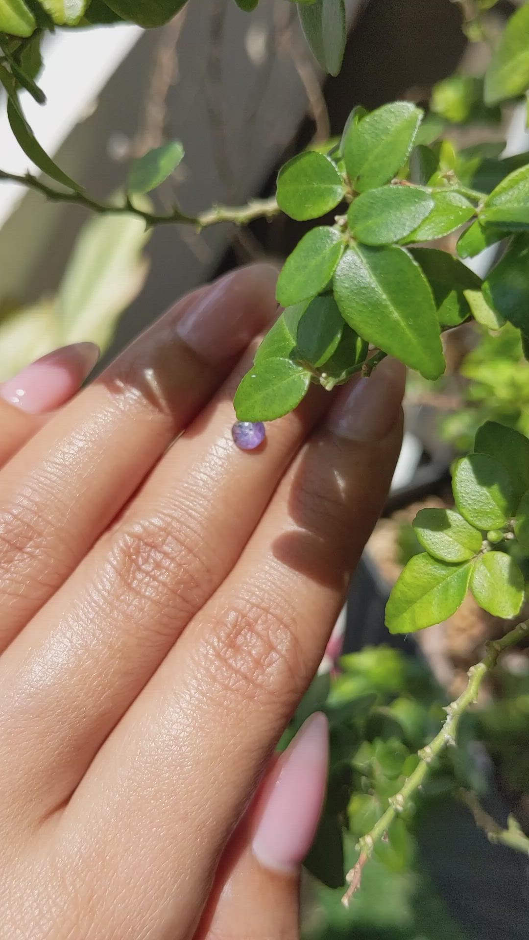 0.47 Ct. Pinkish Purple Star Sapphire from Ceylon (Sri Lanka) Size Video