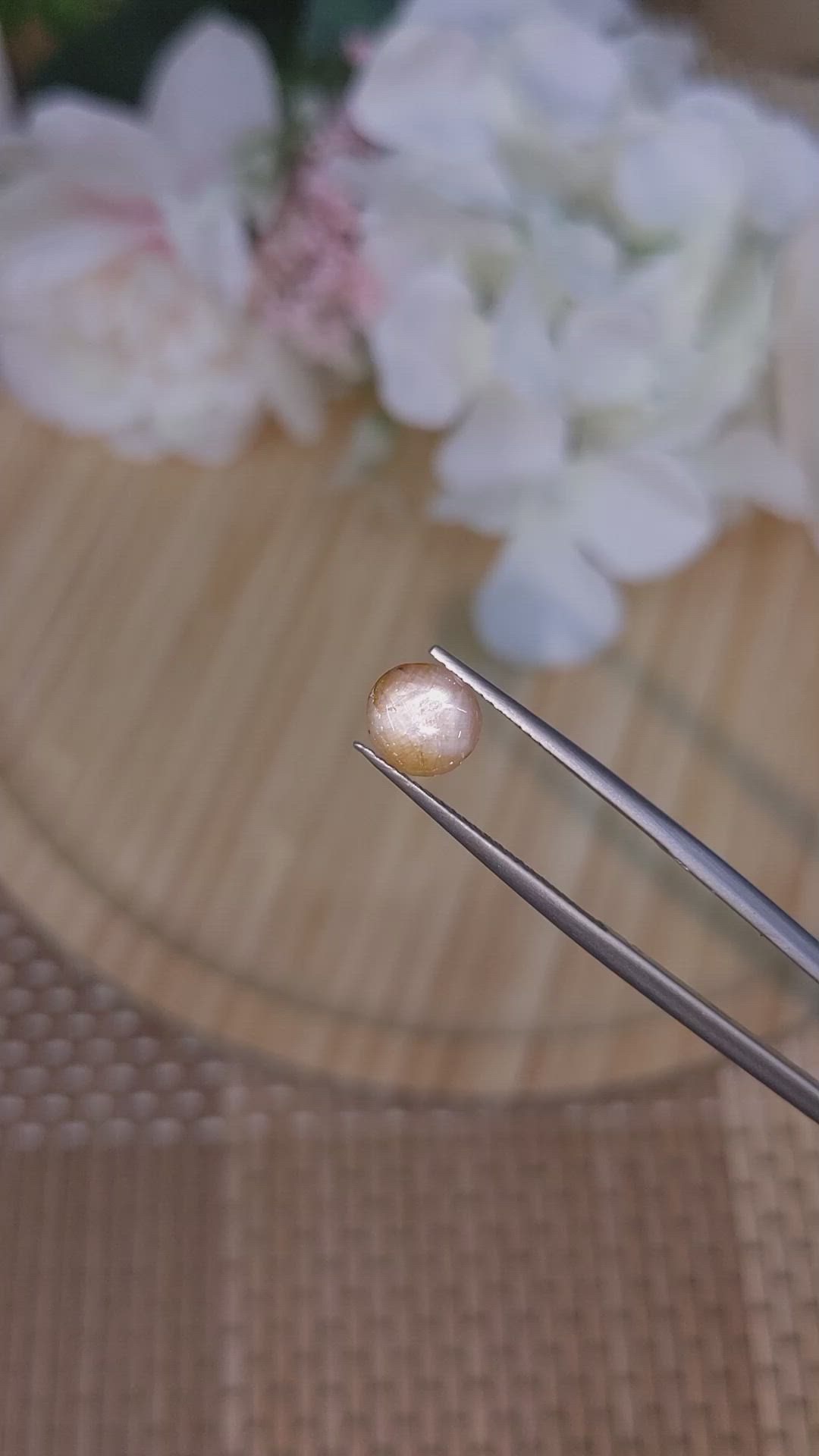 1.40 Ct. Bi Color / Parti Star Sapphire from Ceylon (Sri Lanka) Size Video