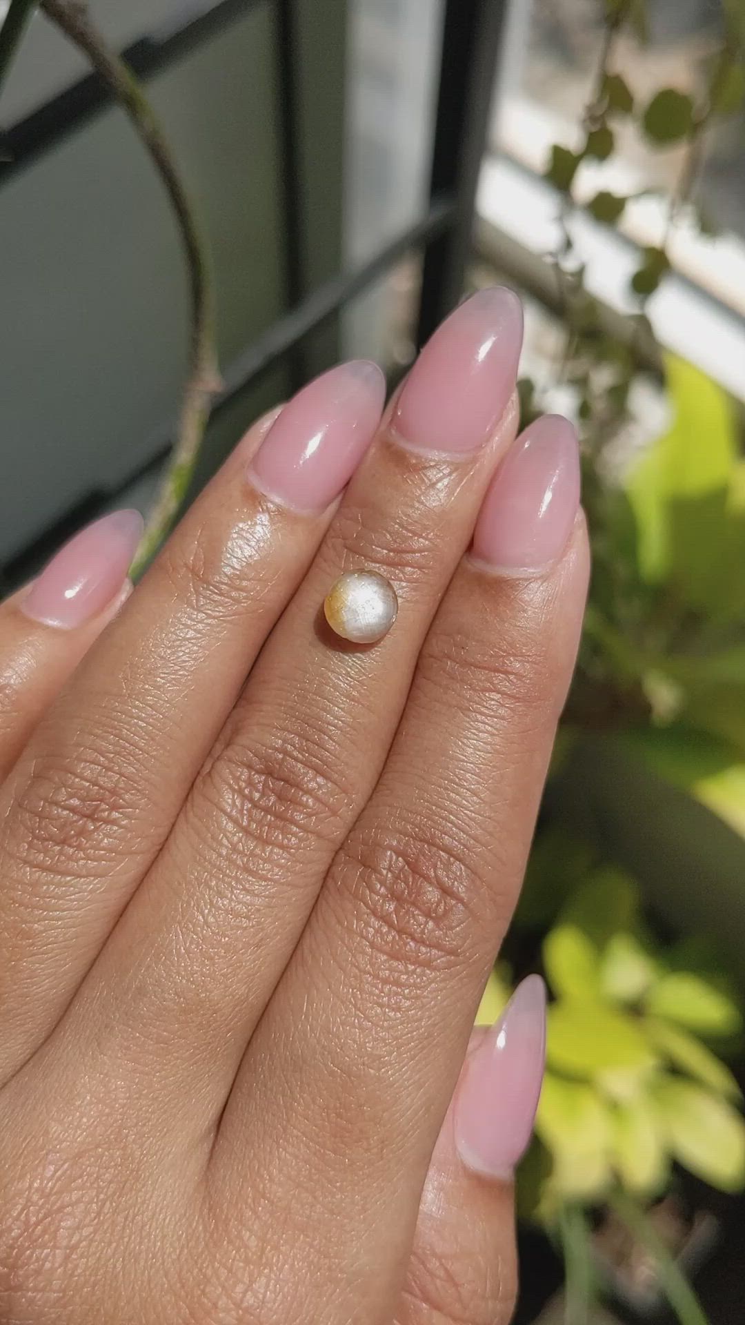 1.40 Ct. Bi Color / Parti Star Sapphire from Ceylon (Sri Lanka) Size Video