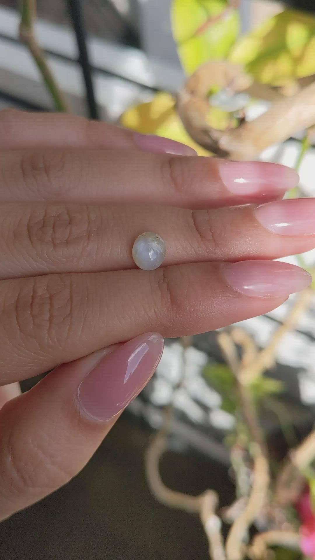 1.52 Ct. Yellow Star Sapphire from Ceylon (Sri Lanka) Size Video