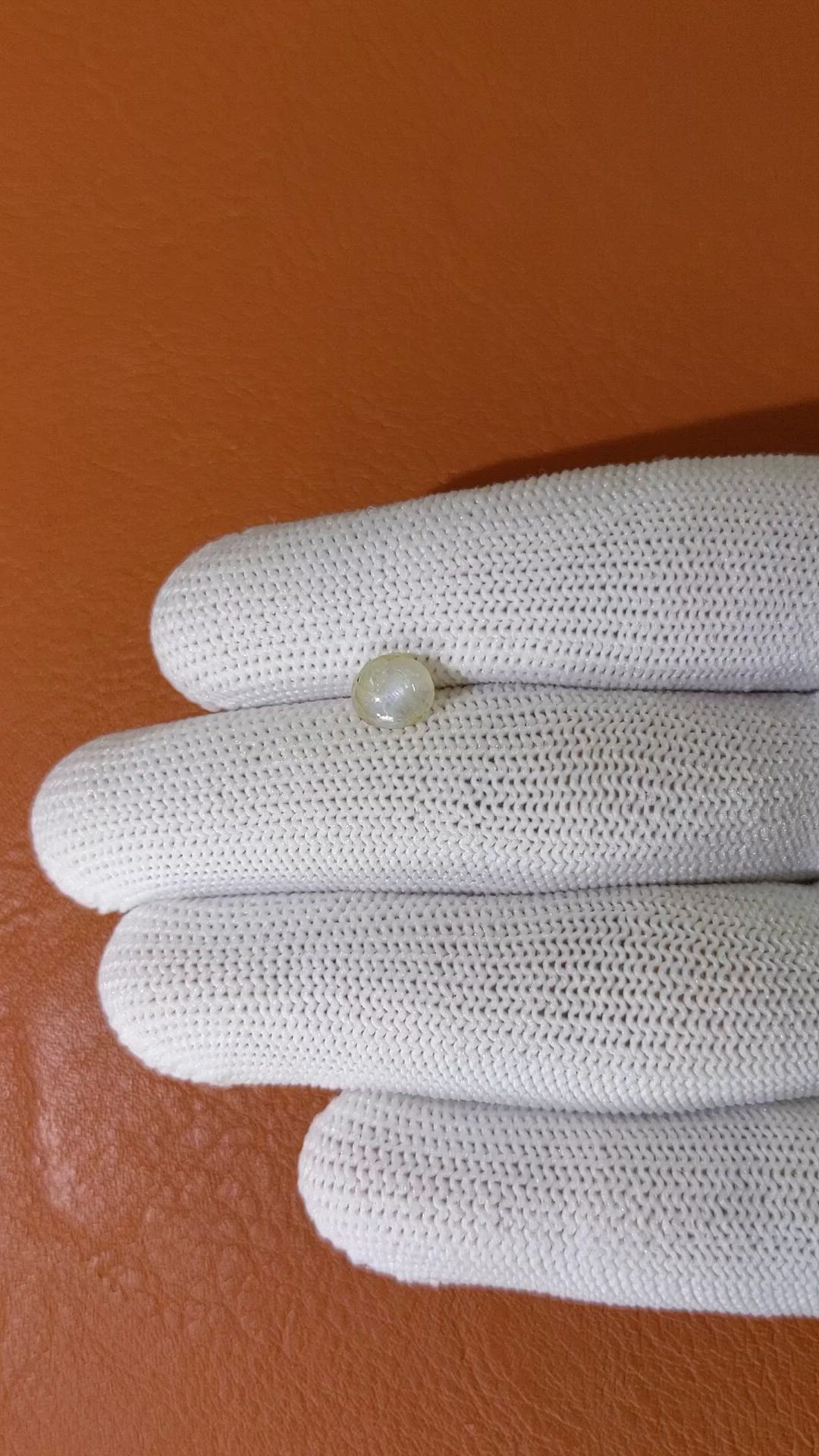 1.52 Ct. Yellow Star Sapphire from Ceylon (Sri Lanka) Size Video