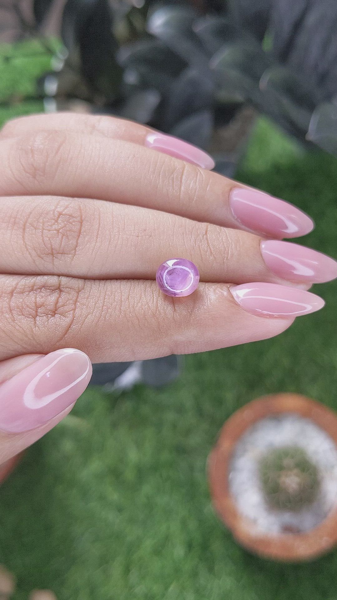 3.24 Ct. Pink Star Sapphire from Ceylon (Sri Lanka) Size Video